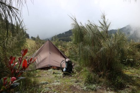 Téléchargez les photos : Camping avec une tente hexagone ou hexapeak ou bâche hexamide dans la nature sauvage - en image libre de droit