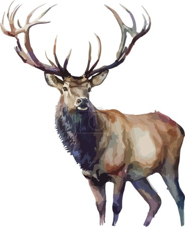 Colored Deer Vector, Print, Illustration