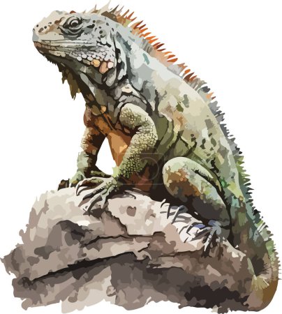 Ilustración de Iguana de Color Vector, Imprimir, Ilustración - Imagen libre de derechos