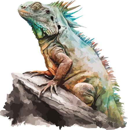 Ilustración de Iguana de Color Vector, Imprimir, Ilustración - Imagen libre de derechos
