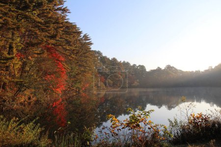 Foto de Paisaje matutino del estanque Yanaginuma y hojas de otoño en Goshikinuma, Urabandai, Fukushima, Japón - Imagen libre de derechos