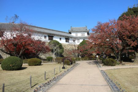 Téléchargez les photos : Place Nishinomaru du château de Himeji et feuilles d'automne à Himeji, Japon - en image libre de droit
