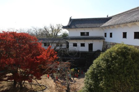 Téléchargez les photos : Place Nishinomaru du château de Himeji et feuilles d'automne à Himeji, Japon - en image libre de droit