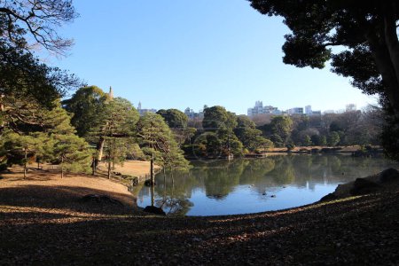 Téléchargez les photos : Étang Daisensui dans le jardin Rikugien, Tokyo, Japon - en image libre de droit