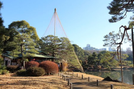 Téléchargez les photos : Maison Fukiage-chaya et Yukitsuri (accrochage à la neige) dans le jardin Rikugien, Tokyo, Japon - en image libre de droit