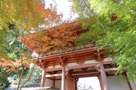 Porte Nio et feuilles d'automne au Temple Daigoji, Kyoto, Japon