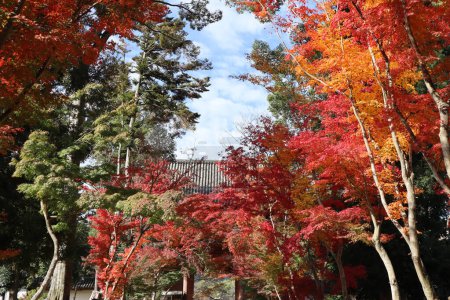 Porte Nio et feuilles d'automne au Temple Daigoji, Kyoto, Japon