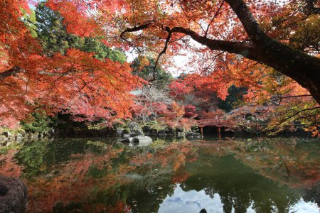 Benten-ike Teich und Herbstblätter im Daigoji Tempel, Kyoto, Japan