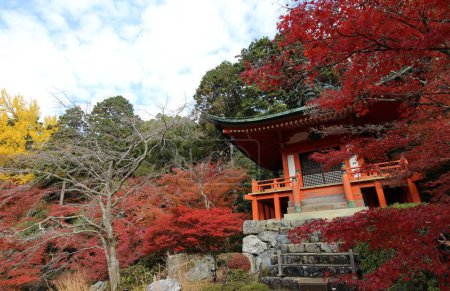 Benten-do et feuilles d'automne au Temple Daigoji, Kyoto, Japon