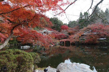 Benten-ike Pond et feuilles d'automne au temple Daigoji, Kyoto, Japon
