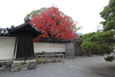 Sanbo-in et feuilles d'automne au Temple Daigoji, Kyoto, Japon