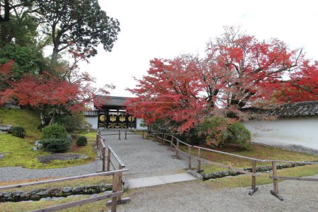 Photo for Sanbo-in and autumn leaves in Daigoji Temple, Kyoto, Japan - Royalty Free Image