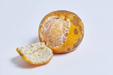 Photo for Imperfect skin organic orange which skin partly peeled open exposing the juicy flesh inside, isolated white - Royalty Free Image