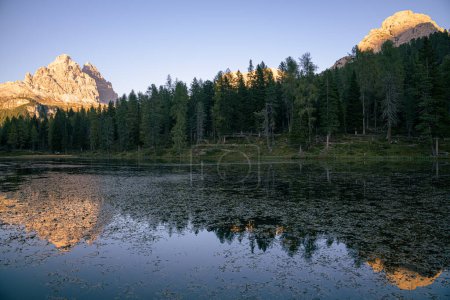 Photo for Trees reflecting in Lago d'Antorno, The Dolomites - Royalty Free Image