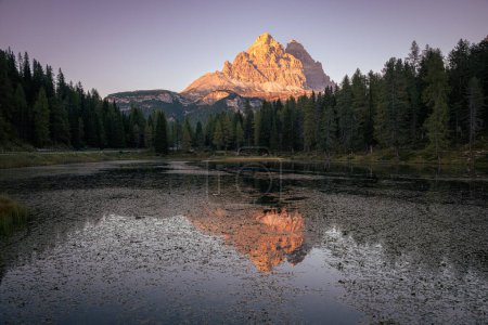 Photo for Trees reflecting in Lago d'Antorno, The Dolomites, as the sun sets - Royalty Free Image