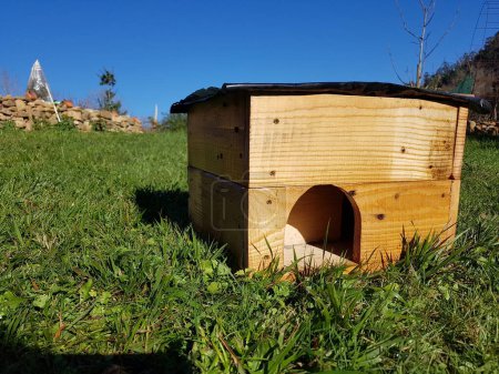 Téléchargez les photos : Abri de hérissons fait maison. maison pour les hérissons sauvages en bois. - en image libre de droit