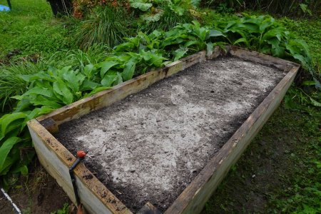 raised wooden bed with a pile of ash to be used as fertilizer and to protect it from pests.