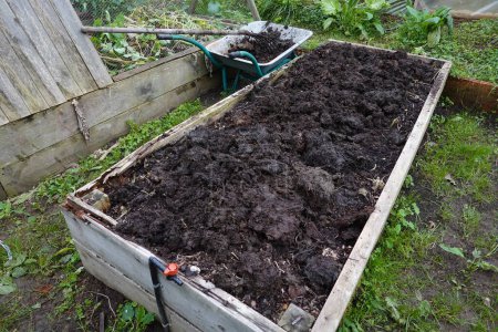 Foto de Cama llena de estiércol de vaca fresca para fertilizar el suelo. cama de madera elevada con estiércol. - Imagen libre de derechos