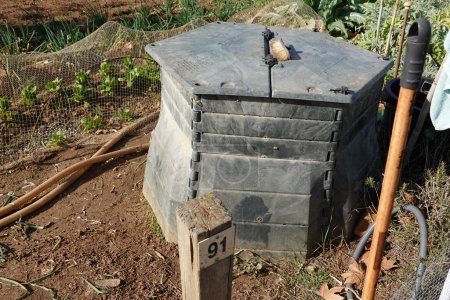 compost bin in vegetable garden to recycle organic waste. ecological compost.