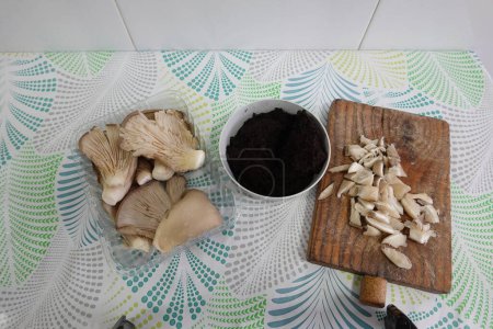 Zucht von Pilzen zu Hause. Austernpilz mit Kaffee, um Myzel und Anbau zu erhalten