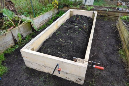 raised wooden bed for growing vegetable garden at home. organic vegetable garden