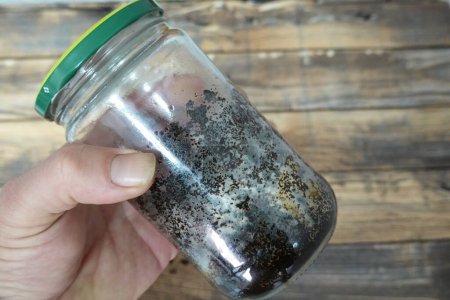 micelio de hongo ostra que se reproduce en el café. cultivar setas en casa