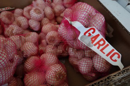 sale of garlic bulb netting. plant store. garlic cultivation.