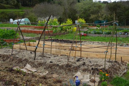 structure with poles to support climbing crops in the vegetable garden. bed for growing crops.