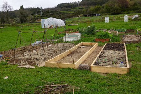 construction of urban vegetable garden. to make raised wooden beds for cultivation.