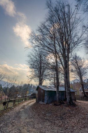 Photo for Plateau houses between Domanic and Inegol and trees whose leaves have fallen to the ground in autumn - Royalty Free Image