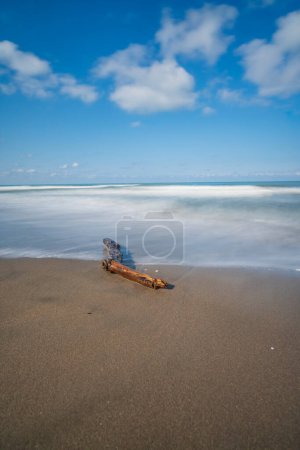 Téléchargez les photos : Branche d'arbre et balancer parmi la mer et les vagues sur la plage avec un ciel bleu - en image libre de droit