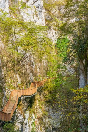 Téléchargez les photos : Automne et canyon horma sentier pédestre entre les rochers et les couleurs de la nature - en image libre de droit