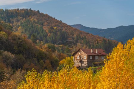 Téléchargez les photos : Une maison parmi les couleurs vert jaune orange sur les arbres en automne nature - en image libre de droit