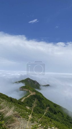 Photo for Artvin plateau house above the clouds blue clear sky - Royalty Free Image