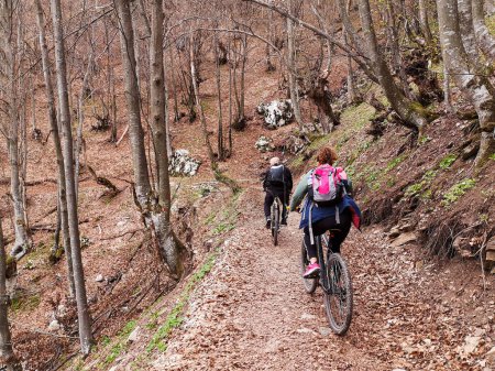 Photo for Two mtb cyclists ride uphill on a forest path - Royalty Free Image