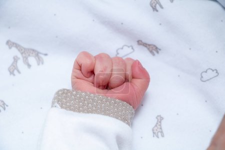 Téléchargez les photos : Nouvelle main de bébé. Photo de haute qualité - en image libre de droit