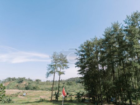 Indonesische Flagge weht stolz vor der Kulisse von Feldern, Reisfeldern und üppigen Bäumen, die Nationalstolz und natürliche Schönheit symbolisieren.