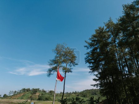 Bandera de Indonesia ondeando orgullosamente contra un telón de fondo de campos, arrozales y exuberantes árboles, simbolizando el orgullo nacional y la belleza natural.
