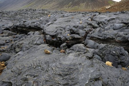 Foto de Campo de lava del volcán más nuevo de Islandia, Geldingadalir - Imagen libre de derechos