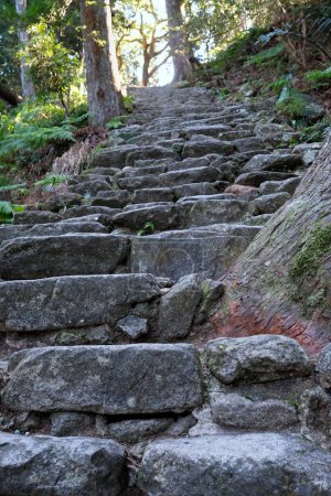 Photo for Steep stairs leading to Kumano Nachi Taisha Shrine near Kii-Katsuura in Japan - Royalty Free Image