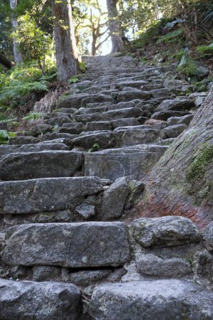 Photo for Steep stairs leading to Kumano Nachi Taisha Shrine near Kii-Katsuura in Japan - Royalty Free Image