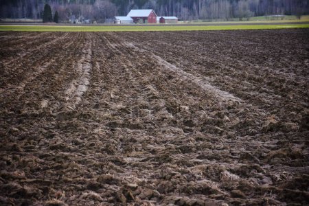Bepflügtes Feld für die Aussaat. Vorbereitung des Bodens vor dem Pflanzen von Getreide. Landwirtschaft.