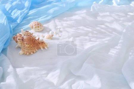 Abstrakte Schatten von Palmen auf den Vorhängen eines Strandschals mit Muscheln. Hintergrund oder Layout - Urlaub auf See. Raum zum Kopieren von Text.