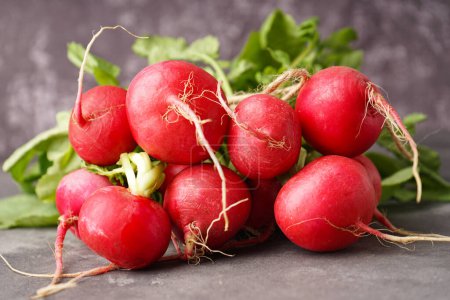 Photo for Red radishes bunch on a grey background. Close-up. - Royalty Free Image