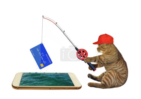 Un chat beige a attrapé une carte de crédit à partir d'un téléphone portable à l'aide d'une canne à pêche. Fond blanc. Isolé.