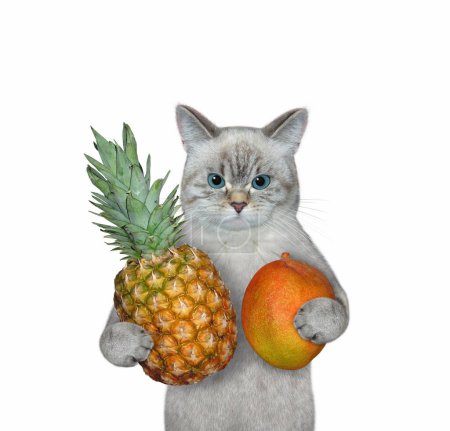 Foto de Un gato ceniza sostiene un mango y una piña. Fondo blanco. Aislado. - Imagen libre de derechos