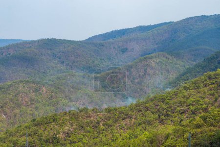 Burning forest and trees cause pollution near Ob Luang National Park