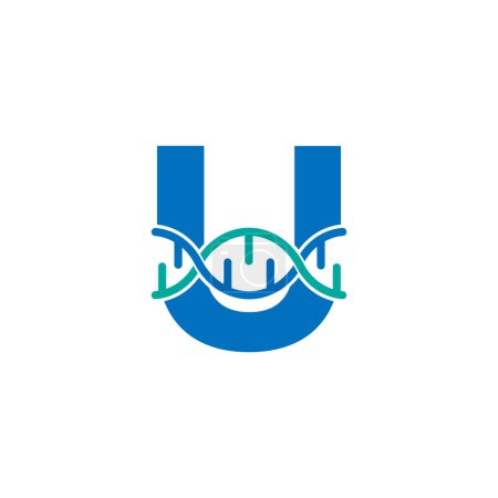 Illustration for Initial Letter U Genetic Dna Icon Logo Design Template Element. Biological Illustration - Royalty Free Image
