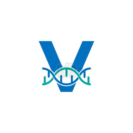 Illustration for Initial Letter V Genetic Dna Icon Logo Design Template Element. Biological Illustration - Royalty Free Image
