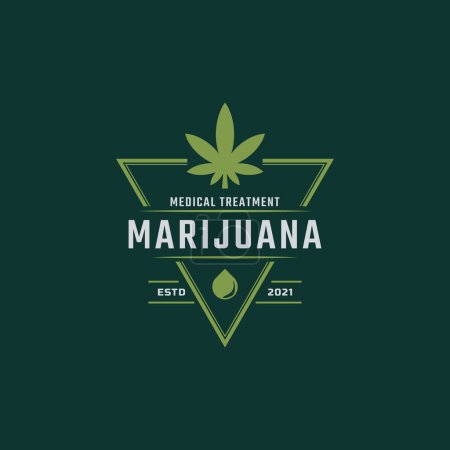 Illustration for Classic Vintage Retro Label Badge for Marijuana Cannabis Hemp Pot Leaf THC CBD Health and Medical Therapy Logo Design Inspiration - Royalty Free Image